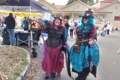 Steam-Punks